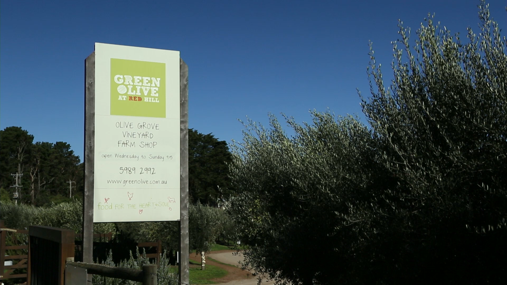 Green Olive at Red Hill